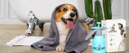 Dog Sprayer with Soap Dispenser