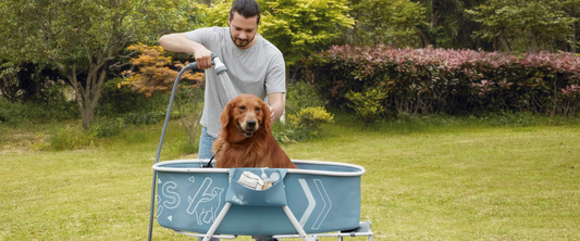 Gentle Shampoo for Dogs